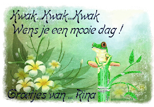 Naamanimaties Rina 
