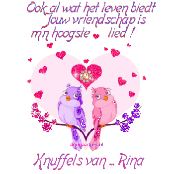 Naamanimaties Rina 