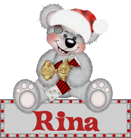 Naamanimaties Rina Kerst Beer Cadeautjes