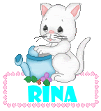 Naamanimaties Rina 