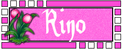 Naamanimaties Rino 
