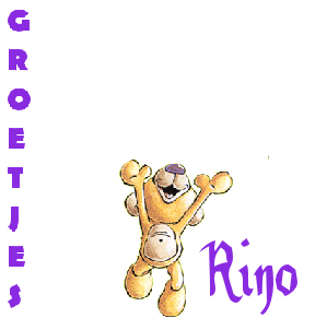 Naamanimaties Rino 