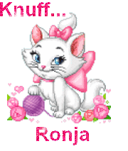 Naamanimaties Ronja 