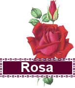 Naamanimaties Rosa 