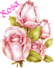 Naamanimaties Rosa 