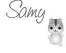 Naamanimaties Samy 