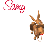 Naamanimaties Samy 