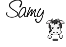 Naamanimaties Samy 