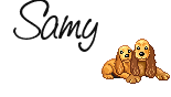 Naamanimaties Samy 