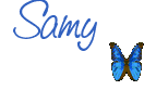 Naamanimaties Samy 
