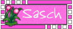 Naamanimaties Sasch 