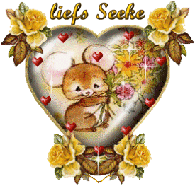 Naamanimaties Seeke 
