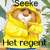 Naamanimaties Seeke 