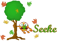 Naamanimaties Seeke 