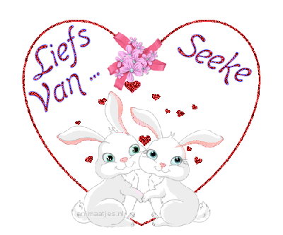 Naamanimaties Seeke 