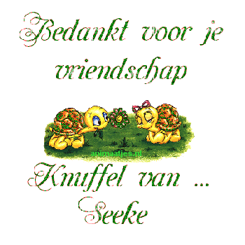 Naamanimaties Seeke 