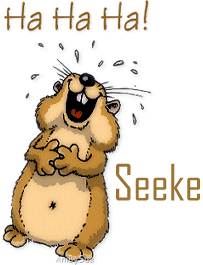 Naamanimaties Seeke 