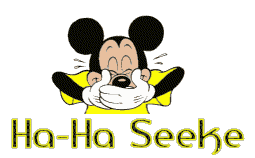 Naamanimaties Seeke 