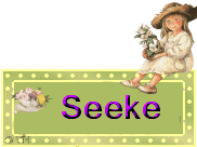 Naamanimaties Seeke 