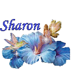 Sharon Naamanimaties 