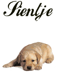 Naamanimaties Sientje 