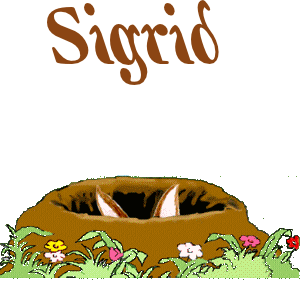 Naamanimaties Sigrid 