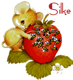 Naamanimaties Silke 