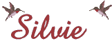 Naamanimaties Silvie 