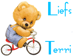 Naamanimaties Terri 