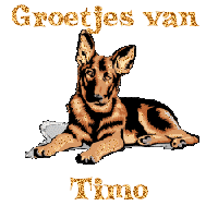 Naamanimaties Timo 