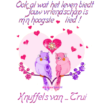 Naamanimaties Trui 
