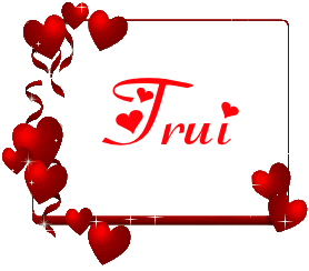 Naamanimaties Trui 