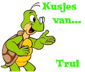 Naamanimaties Trui 