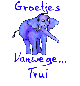 Naamanimaties Trui 
