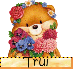 Naamanimaties Trui 