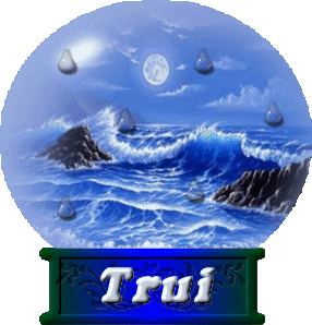 Naamanimaties Trui 