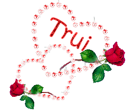 Naamanimaties Trui 