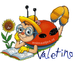 Naamanimaties Valetino 