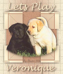 Naamanimaties Veronique 