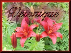 Naamanimaties Veronique 