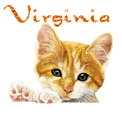 Naamanimaties Virginia 