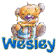 Naamanimaties Wesley 