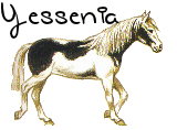Naamanimaties Yessenia 