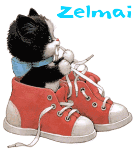Naamanimaties Zelmai 