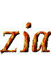 Naamanimaties Zia 