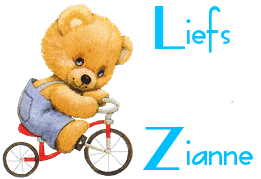 Naamanimaties Zianne Beer Op De Fiets