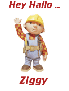 Naamanimaties Ziggy 