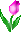 Bloemen Pasen Pasen plaatjes Roze Tulp