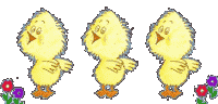 Pasen Pasen plaatjes Kuikens 
