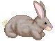 Pasen Pasen plaatjes Mini 